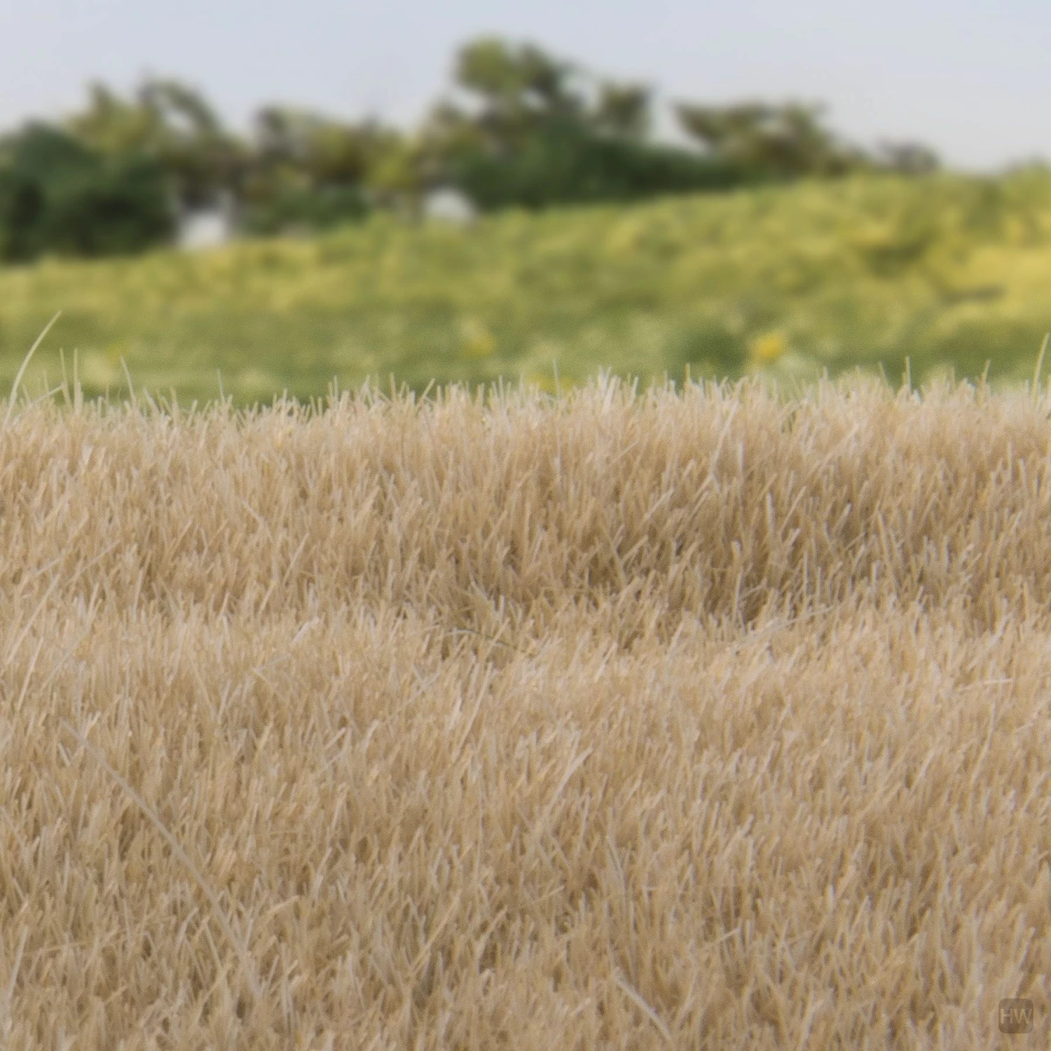 Woodland Scenics Static Grass Straw 4mm - Image 2