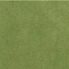 Woodland Scenics Spring Grass Project Sheet12.5 X 14.25in