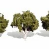 Woodland Scenics Classic Trees Waters Edge 3-4in