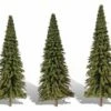 Woodland Scenics Classic Trees Forever Green 2-3.5in